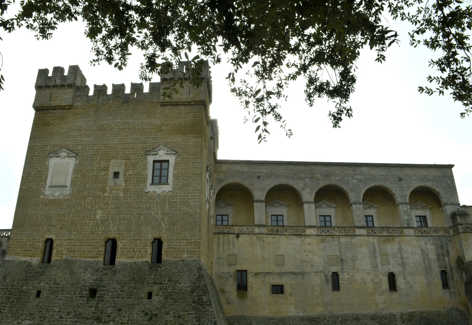 Fronte
